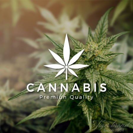 زيت الحشيش الخام عالي الجودة لمعالجة الشعر الشاملة