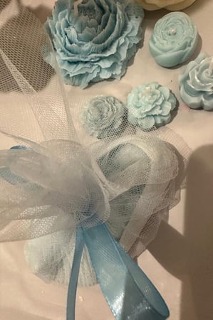 توزيعات مواليد