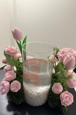 ورد بالشمع المعطر مع سمكه