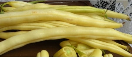 فاصوليا صفراء