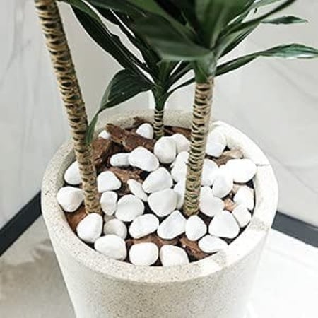 صخور ثلجية طبيعية للزينة