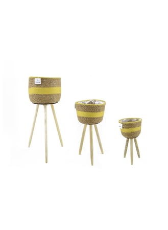 وعاء نباتات خزف وخشب