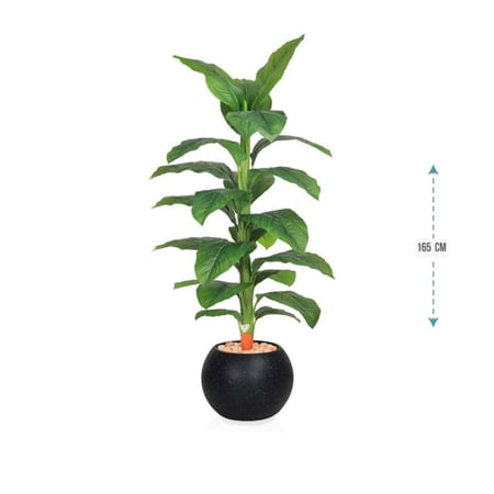 شجرة ورق موز متوسطة اصطناعية بمركن بلاستيك دائري 165 سم