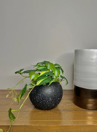 نبات صناعي متدلي لزينة ديكور المنزل على اصيص أسود شكل دائري 25سم