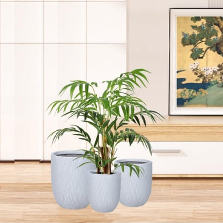 طقم أحواض  نباتات صناعية "الظلال الأبيض" من Drama Home