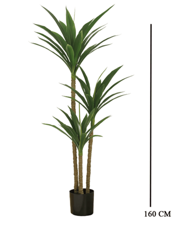 شجرة دراسينا صناعية بطول 160 سم