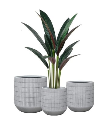 طقم أحواض للنباتات والأشجار الصناعية والطبيعية