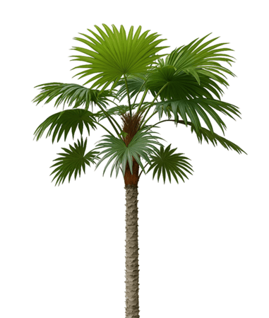 شجرة نخيل صناعية فاخرة بارتفاع 220 سم