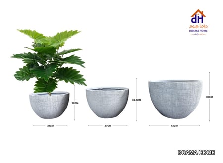 أحواض نباتية أنيقة