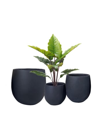 طقم أحواض "اللمسات الناعمة"