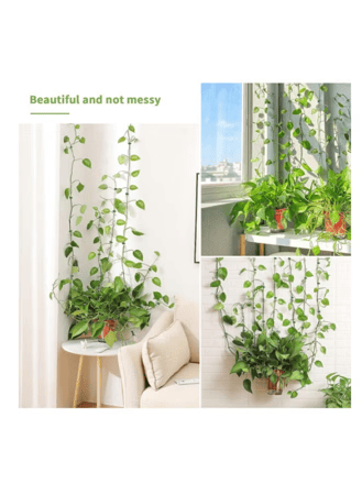 100 قطعة من مقاطع تثبيت النبات على  الجدار