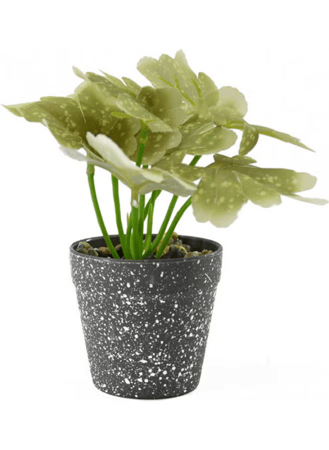 نبتة ديكور اصطناعية متعدد الألوان 18 x 18 x 9سم