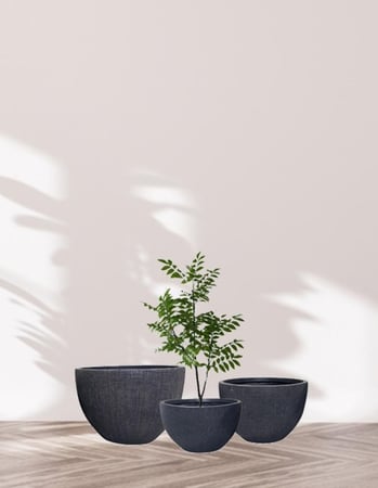 أحواض نباتية أنيقة