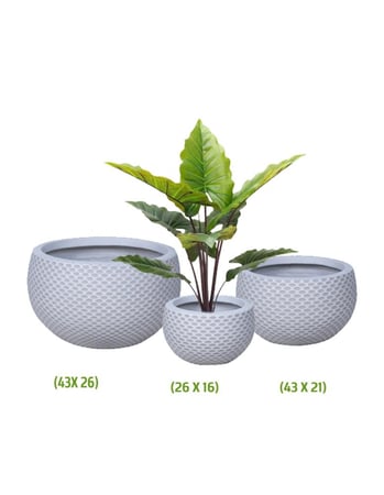 طقم أحواض "نسيج الرياح"  باللون الأبيض من Drama Home