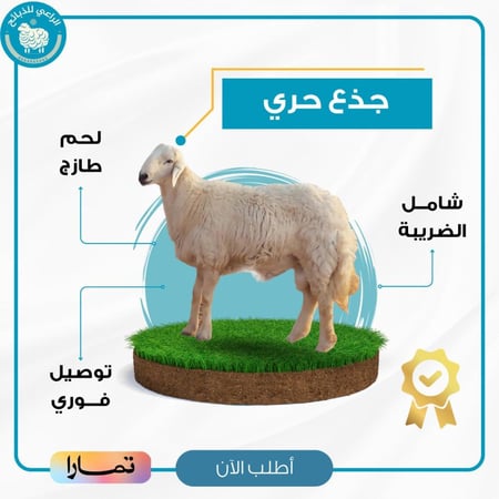 حري عقيقة 19-22 كيلو