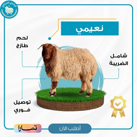 نعيمي هرفي 15-17 كيلو