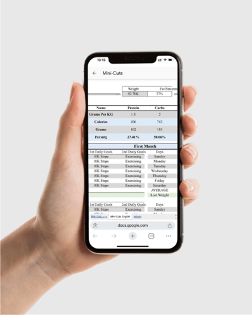 نظام خسارة الدهون Mini Cut