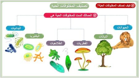 علوم الف الخامس تنوع الحياة   الفصل الأول ممالك المخلوقات الحية