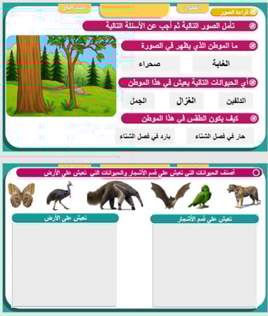 علوم الصف الثاني درس الغابات