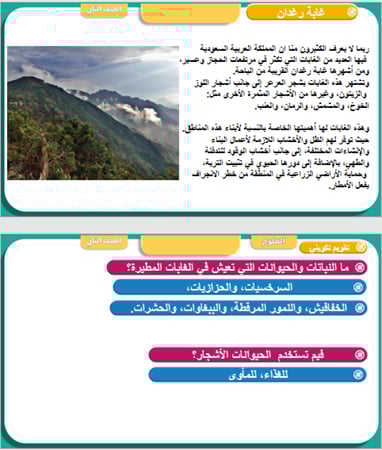 علوم الصف الثاني درس الغابات