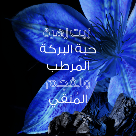 غارنييه بلسم شعر الترا دوكس الفحم الاسود وحبة البركة - 360 مل