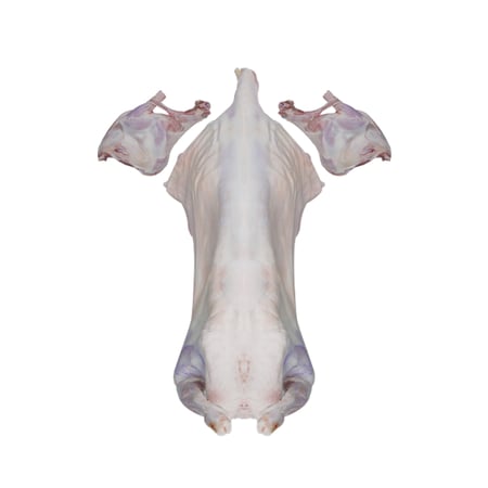 ذبيحة جذع سواكني 20-24 كيلو