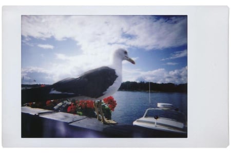 Lomography Lomo Instant & Lenses - White