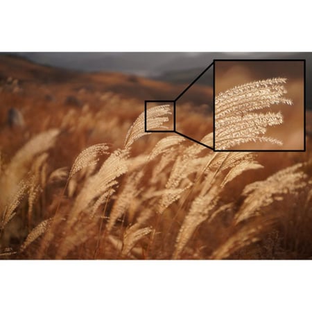 Sony FE 50mm F1.2 GM Lens