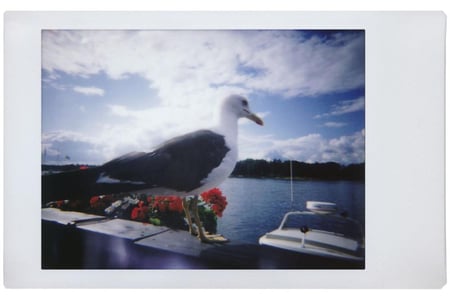 Lomography Lomo Instant Automat & Lenses -White