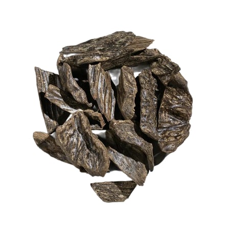 سعر عود كلمنتان