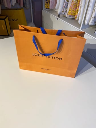 كيس لويس فيتون