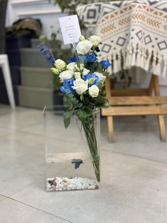 فازة سمك الفايتر