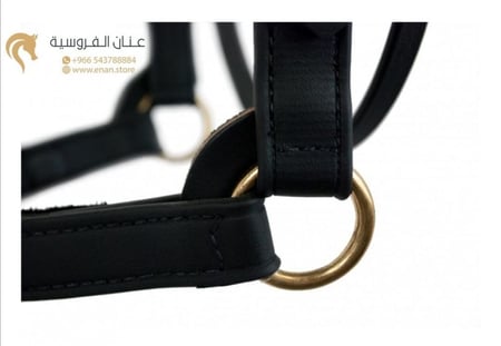 training halter
