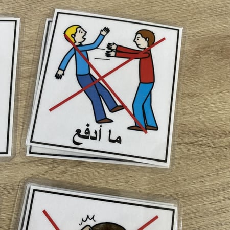 قوانين الفصل - فئات خاصة