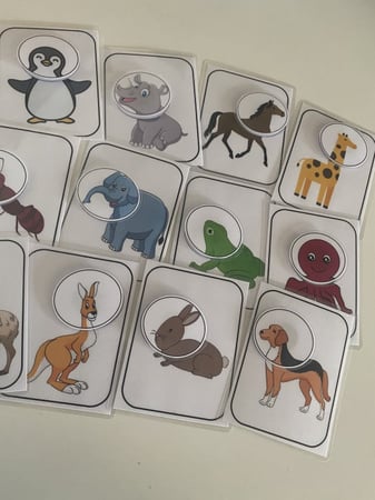 نشاط التعرف على الحيوانات (2)