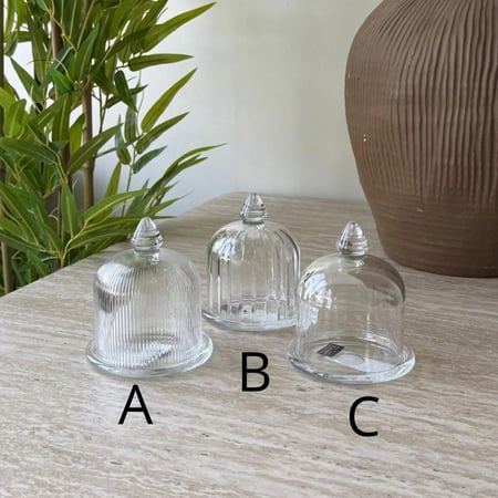 تمريه بغطاء زجاج