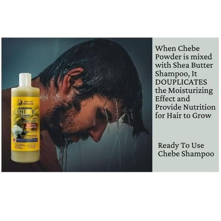 شامبو تشيبي اند شيا لنمو الشعر - مسحوق تشيبي افريقي طبيعي 100% لنمو الشعر - 500 مل (شامبو تشيبي وزبدة الشيا)