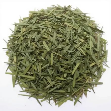 اوراق عشبة الزاز المغربية