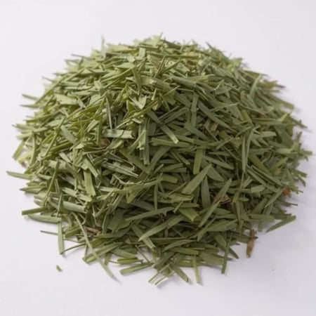 اوراق عشبة الزاز المغربية