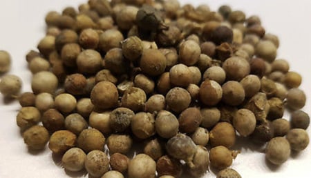 بذور الاراك (مسواك)