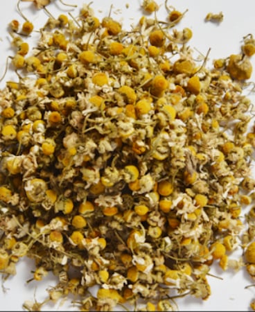 بذور بابونج