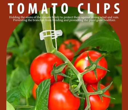 30 مشبك اغصان