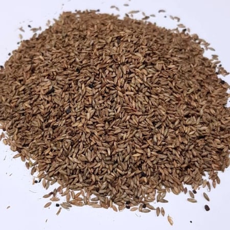 بونيكام اسباني 10 قرام