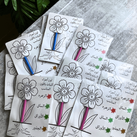 تلوين اجزاء النبات +مرسام