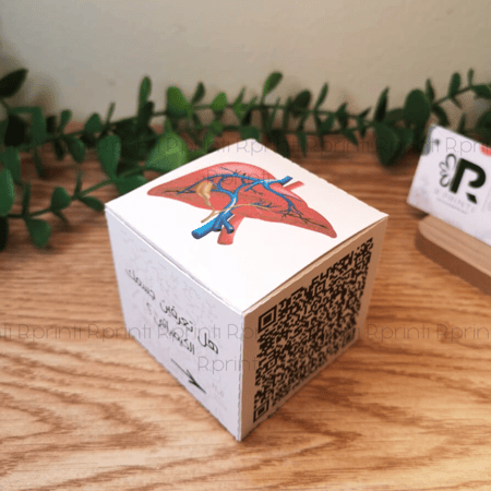 بوكس العنصر و الفوائد