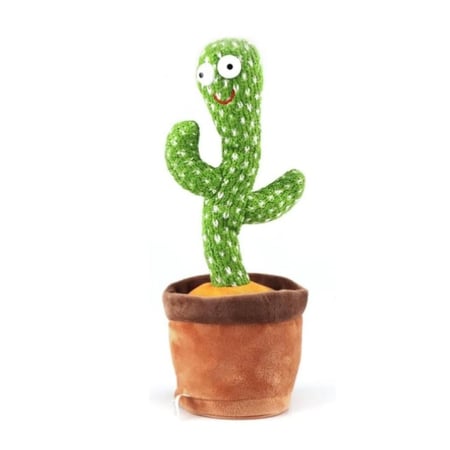 الصبار الراقص