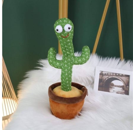 الصبار الراقص