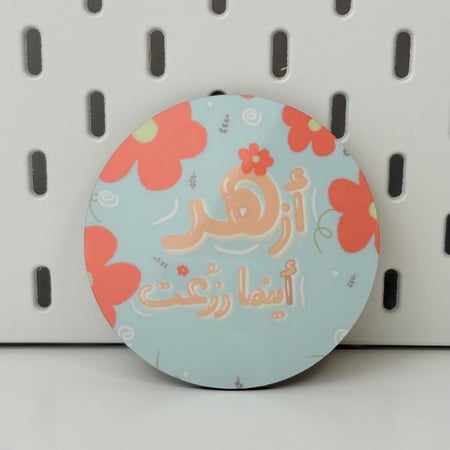 كوستر أزهر أينما زُرعت