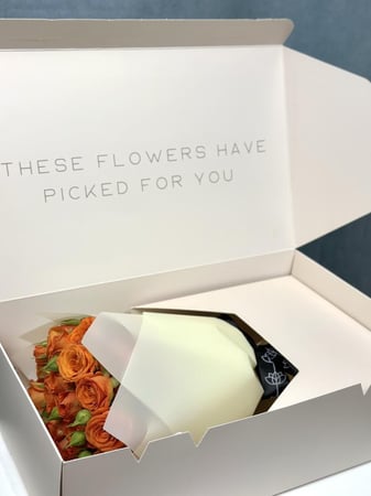 بيبي جوري برتقالي بتغليف بيج