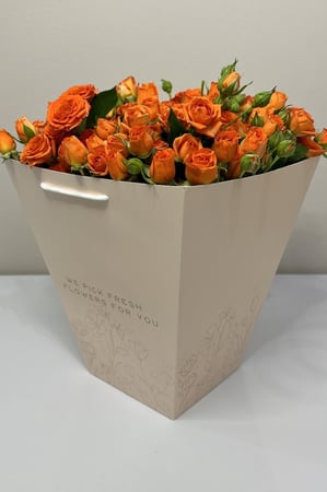 بيبي جوري برتقالي مع فازة